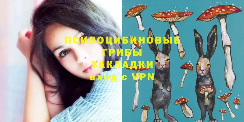 купить  цена  Маркс  Псилоцибиновые грибы Magic Shrooms 